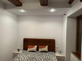 IaZi Apartament